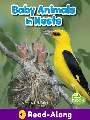 cover image of Baby Animals in Nests